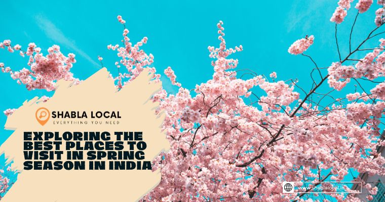 Exploring the Best Places to Visit in Spring Season in India