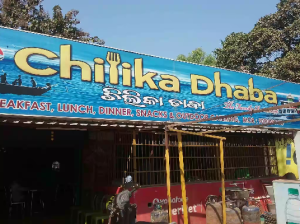 Chilika Dhaba, Barkul, Odisha