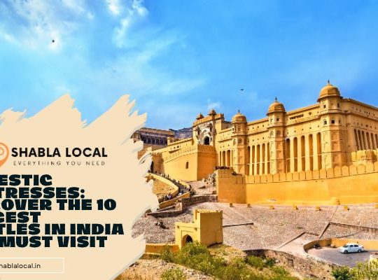 Exploring India’s 10 Largest Castles: Must-Visit Majestic Gems
