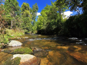 Talley Valley Wildlife Sanctuary