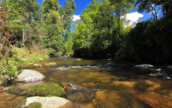 Talley Valley Wildlife Sanctuary