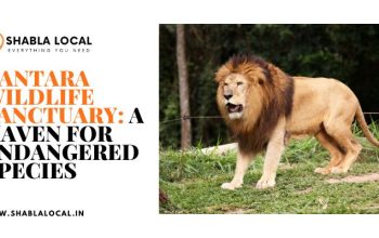 Vantara Wildlife Sanctuary: A Haven for Endangered Species