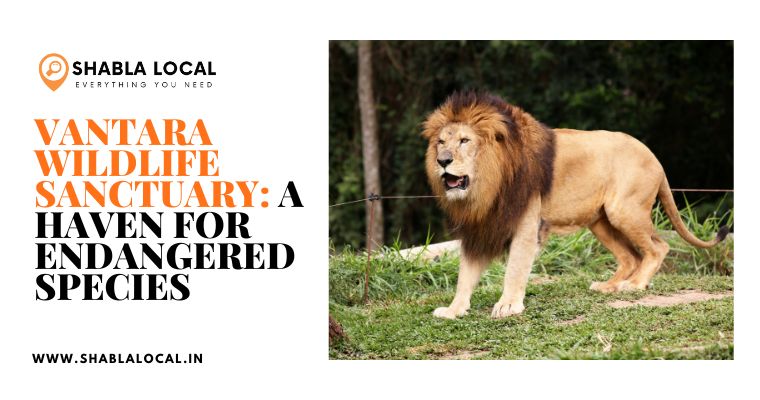 Vantara Wildlife Sanctuary: A Haven for Endangered Species