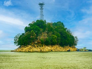 Peacock Island