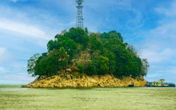 Peacock Island