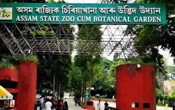 Assam State Zoo cum Botanical Garden