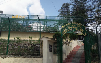 Himalayan Bird Park