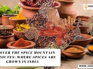 Discover the Spice Mountain and Routes: Where Spices are Grown in India