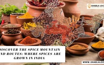 Discover the Spice Mountain and Routes: Where Spices are Grown in India