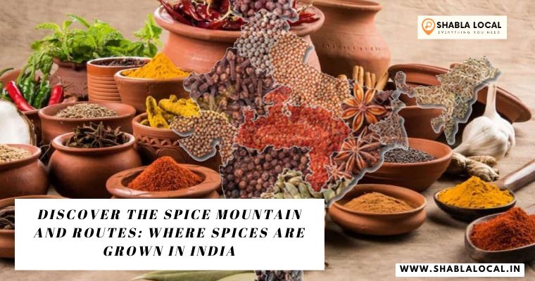 Discover the Spice Mountain and Routes: Where Spices are Grown in India